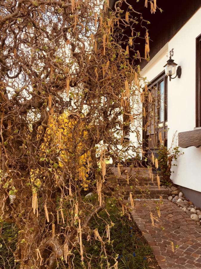 Hegau-Lounge-Bodensee Muhlhausen-Ehingen Esterno foto